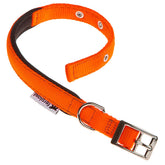 Collier Chiens Daytona Ferplast Orange